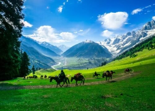 Kashmir Family Tour : Embrace the Magic of Paradise Together