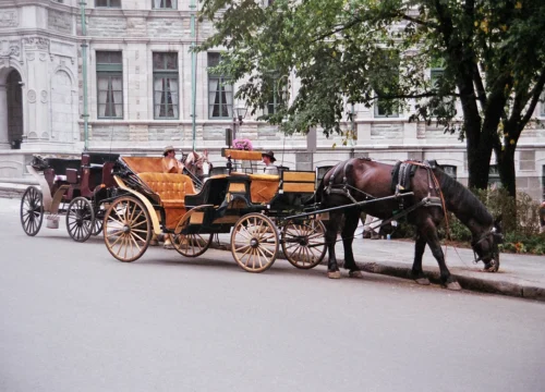 Tanga Ride in Srinagar